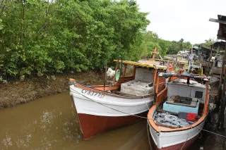 14 juillet en Guyane : feux sur le port, bals de quartier et réveillons à la créole