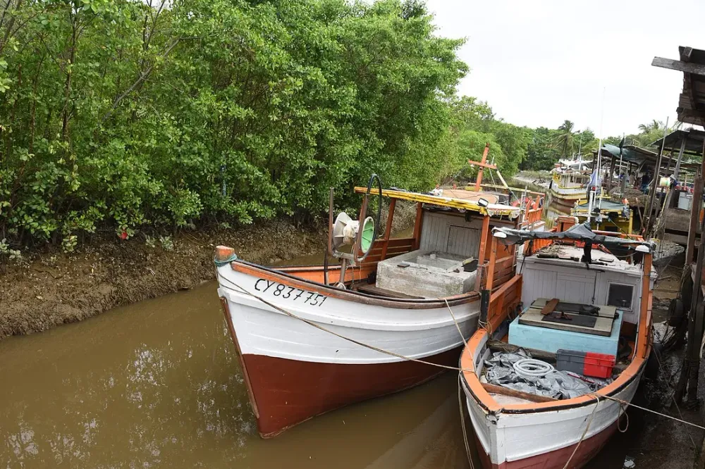 14 juillet en Guyane : feux sur le port, bals de quartier et réveillons à la créole