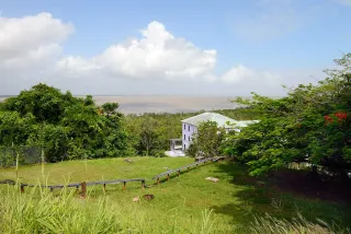 在法属圭亚那购置可建设用地用于出租投资