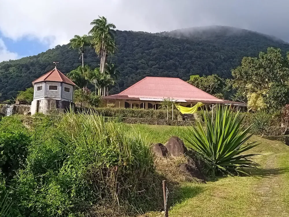 Airbnb en Guadeloupe : ce que change la réservation en direct