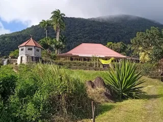 Airbnb en Guadeloupe : ce que change la réservation en direct