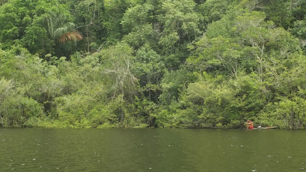 Ir a Brasil y Surinam desde la Guayana Francesa (2026)