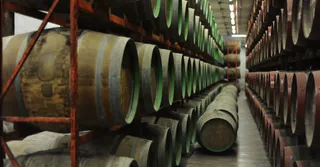Rum envelhecido AOC de Guadalupe: entender a denominação agrícola
