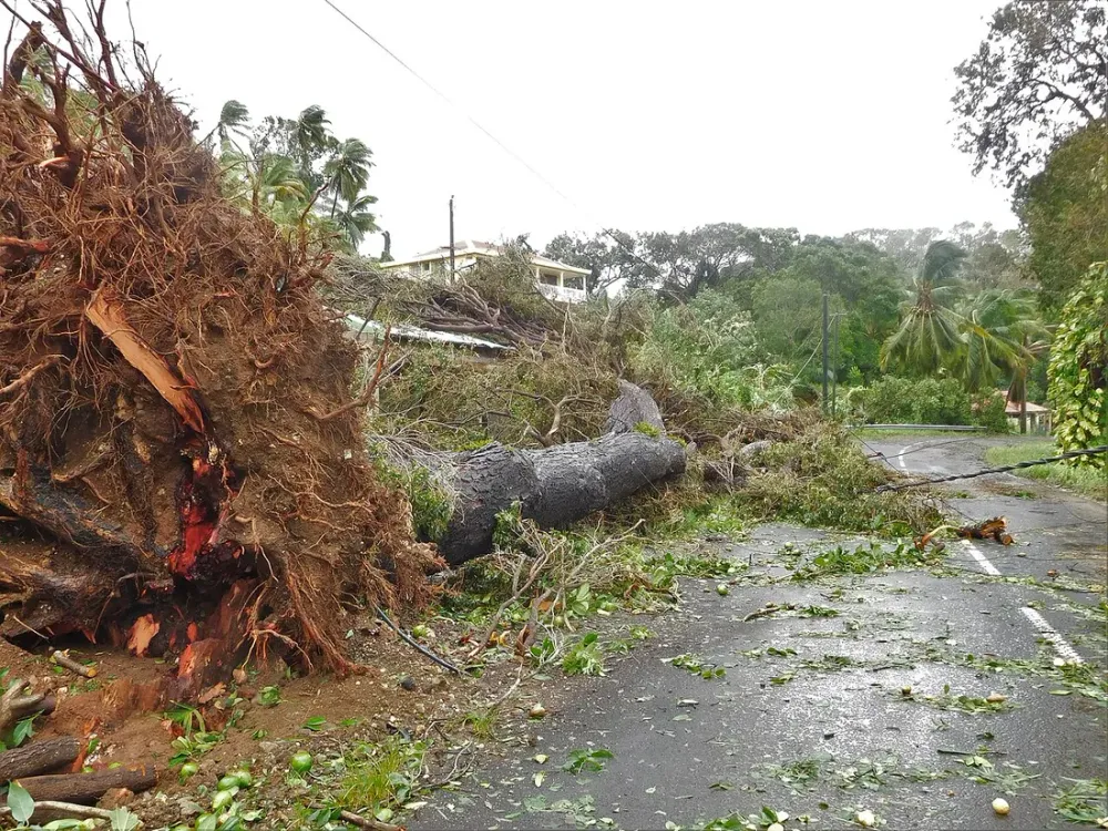 Assurance et caution location saisonnière en Guadeloupe : protéger son meublé en zone cyclonique