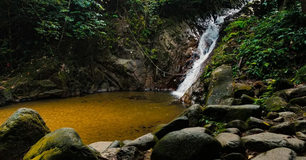 Bassin Paradise and the Pools of Basse-Terre: Safe River Swimming