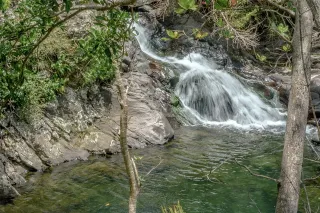Bassin Paradise et bassins de Basse-Terre : baignade riviere securisee