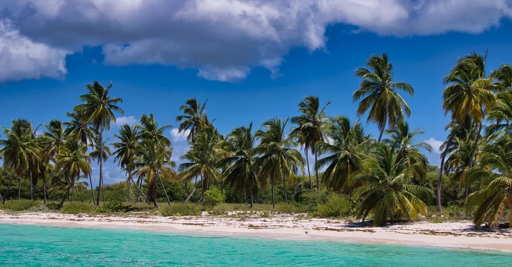 Guadeloupe Travel Budget: How Much to Plan Per Day