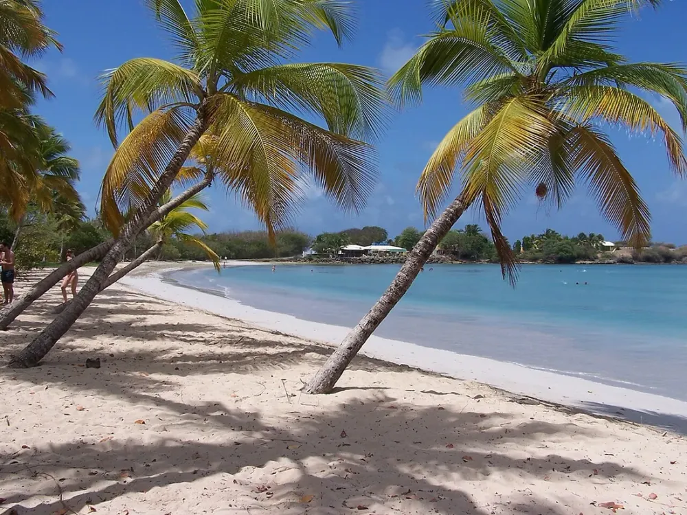Budget vacances Martinique : combien prévoir par jour en 2026