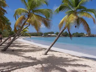 Budget vacances Martinique : combien prévoir par jour en 2026