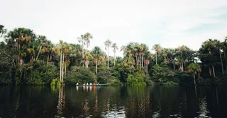 Travel budget for French Guiana: how much to plan for in 2026?