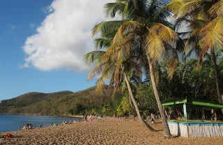 Calendrier nature Guadeloupe : meilleure saison plages, randos et plongee