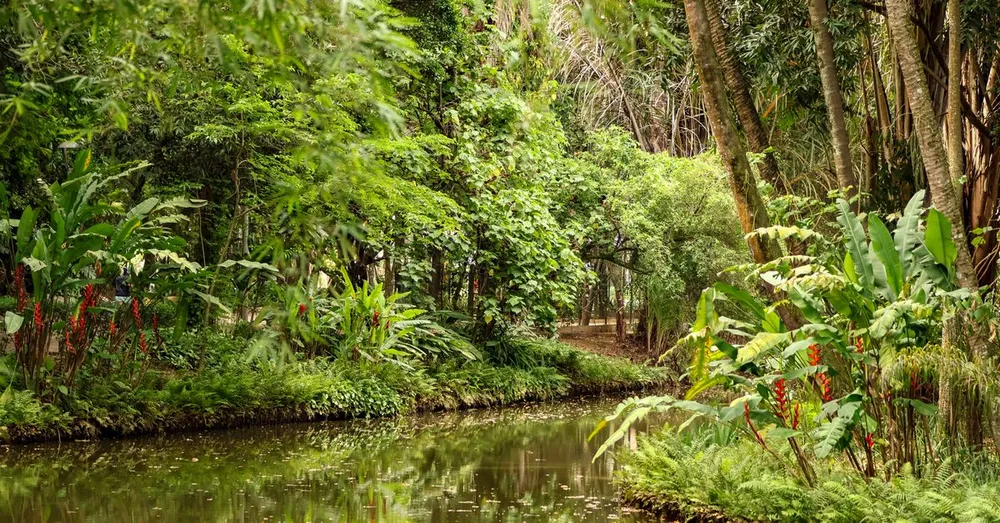 Camp Caïman and the Three Lakes Trail: a nature getaway 45 minutes from Cayenne