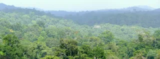 Camp Caïman et sentier des Trois Lacs : l'escapade nature à 45 minutes de Cayenne