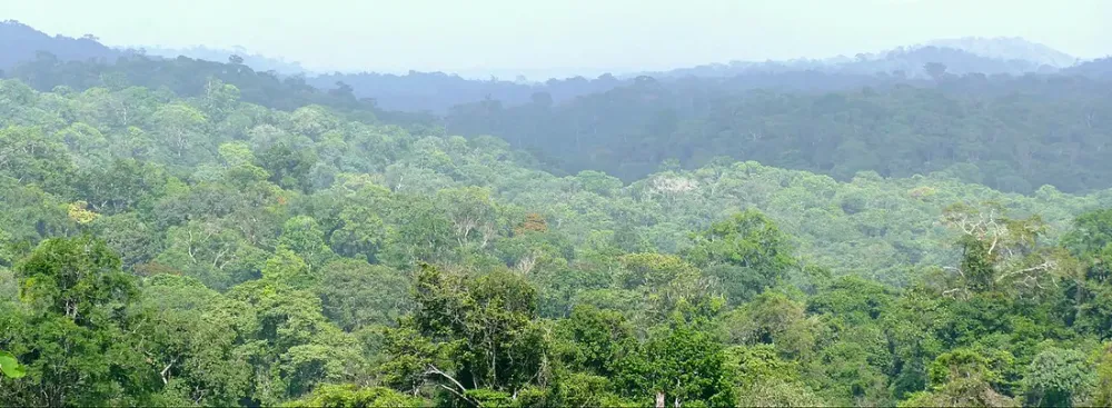 Camp Caïman et sentier des Trois Lacs : l'escapade nature à 45 minutes de Cayenne