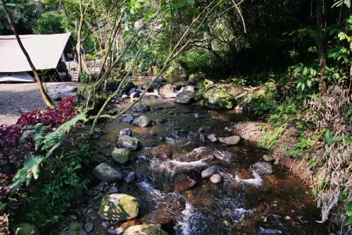 Camping en Guyane : carbets, bivouac et nature amazonienne (2026)