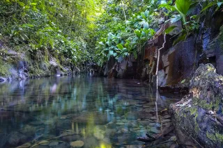 Canyoning à la Guadeloupe : sauter dans les rivières de Basse-Terre