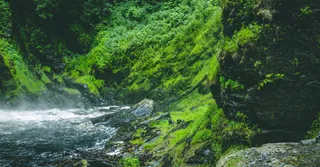 Canyoning in Guadeloupe: Plunge into the Rivers of Basse-Terre