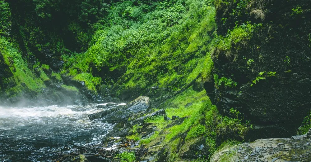 Canyoning in Guadeloupe: Plunge into the Rivers of Basse-Terre