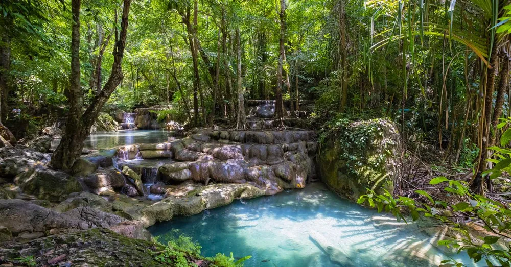 Cascade aux Écrevisses: a trilha fácil mais acessível de Guadalupe
