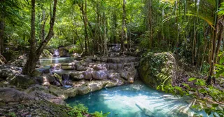 Cascade aux Écrevisses: Guadeloupe's Most Accessible Easy Hike