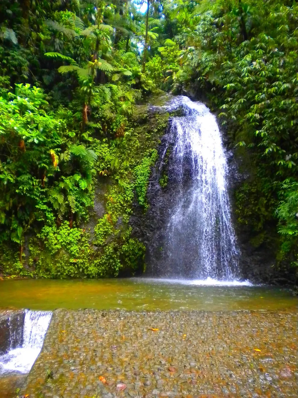 Cascades et rivières de Martinique : 8 baignades naturelles à découvrir