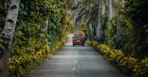 Cayenne-est sans voiture : ce que l'on atteint à pied depuis Montabo