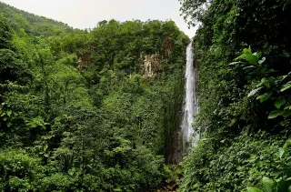 Chutes du Carbet : quel saut choisir selon votre niveau