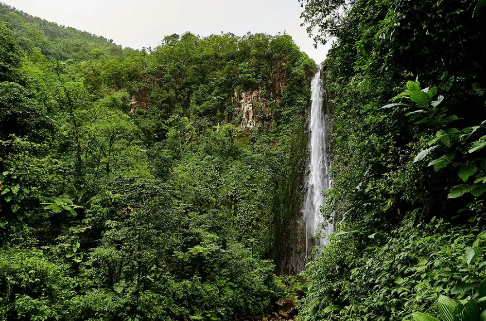 Chutes du Carbet : quel saut choisir selon votre niveau