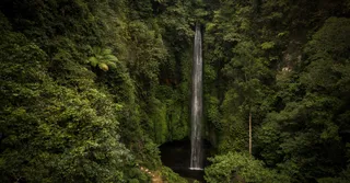 Carbet Falls: Which Drop to Choose for Your Fitness Level
