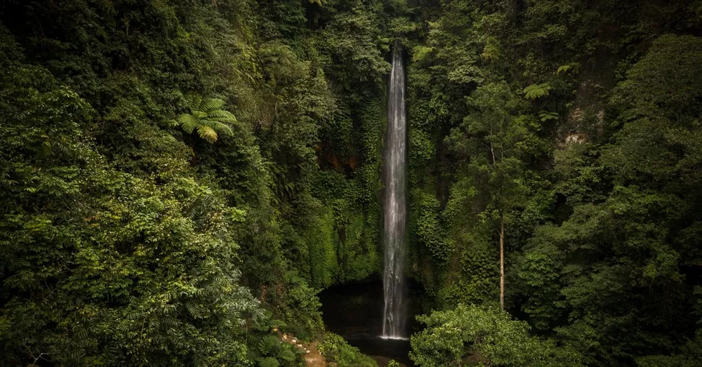 Carbet Falls: Which Drop to Choose for Your Fitness Level