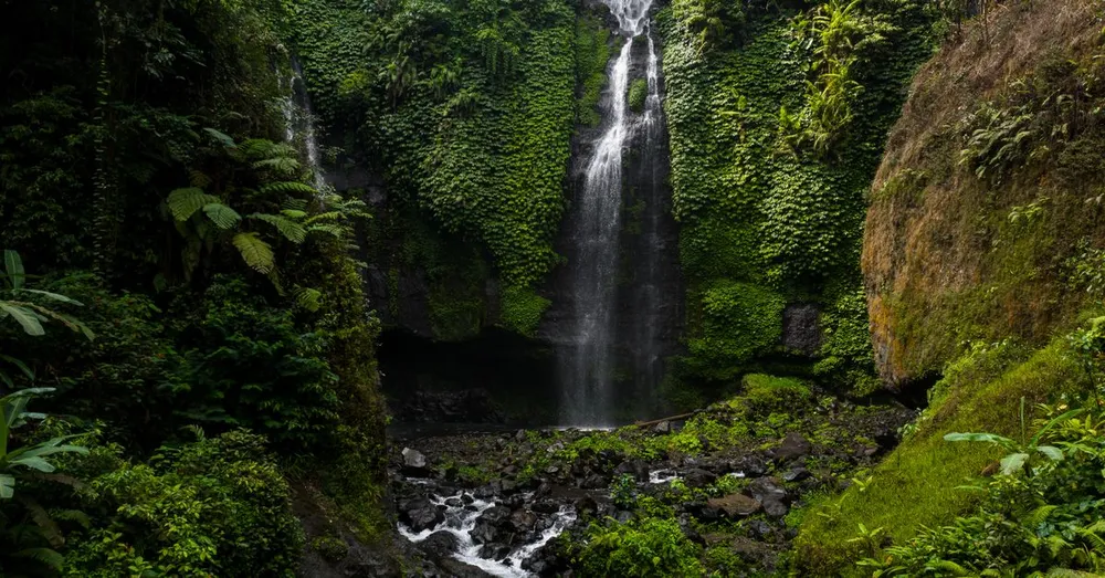 Carbet Falls: Which Waterfall to Choose for Your Level