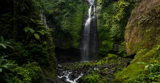 Carbet Falls: Which Waterfall to Choose for Your Level