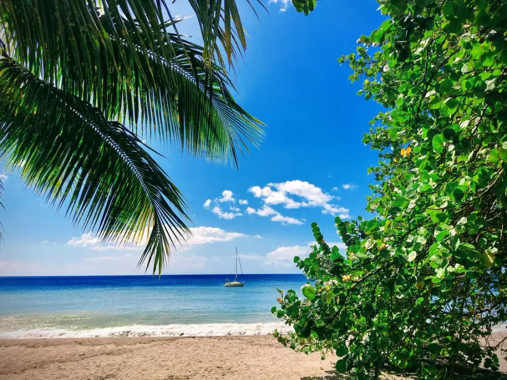 Classement meublé de tourisme en Martinique : pourquoi et comment