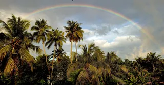 French Guiana Weather Month by Month: Rain, Heat and Humidity