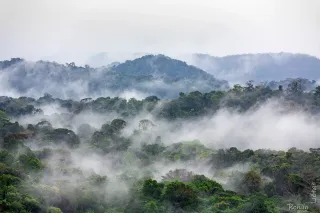 Climat de la Guyane mois par mois : pluie, chaleur et taux d'humidité