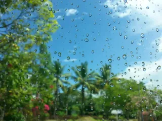 Climat équatorial : s'installer et vivre la saison des pluies