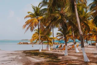 Conciergerie Sainte-Anne : gerer sa location face a la plage