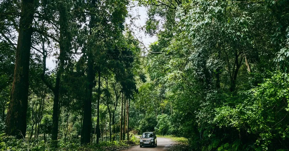 Dirigir na Guiana Francesa: carteira, fiscalizações e condução local para visitantes