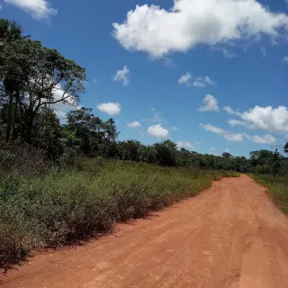 Conduire en Guyane : permis, contrôles et conduite locale pour les visiteurs
