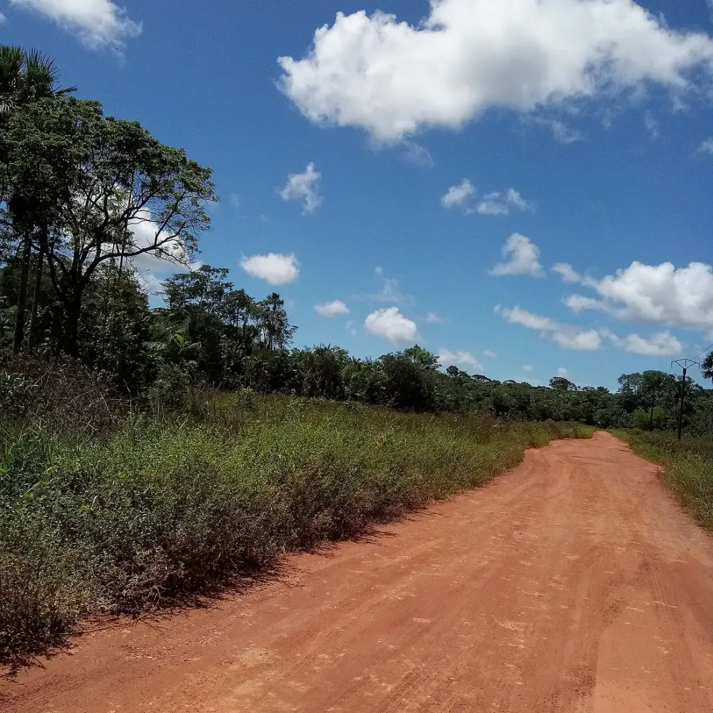 Conduire en Guyane : permis, contrôles et conduite locale pour les visiteurs
