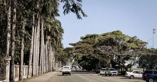 在瓜德罗普岛开车：路况与拥堵指南