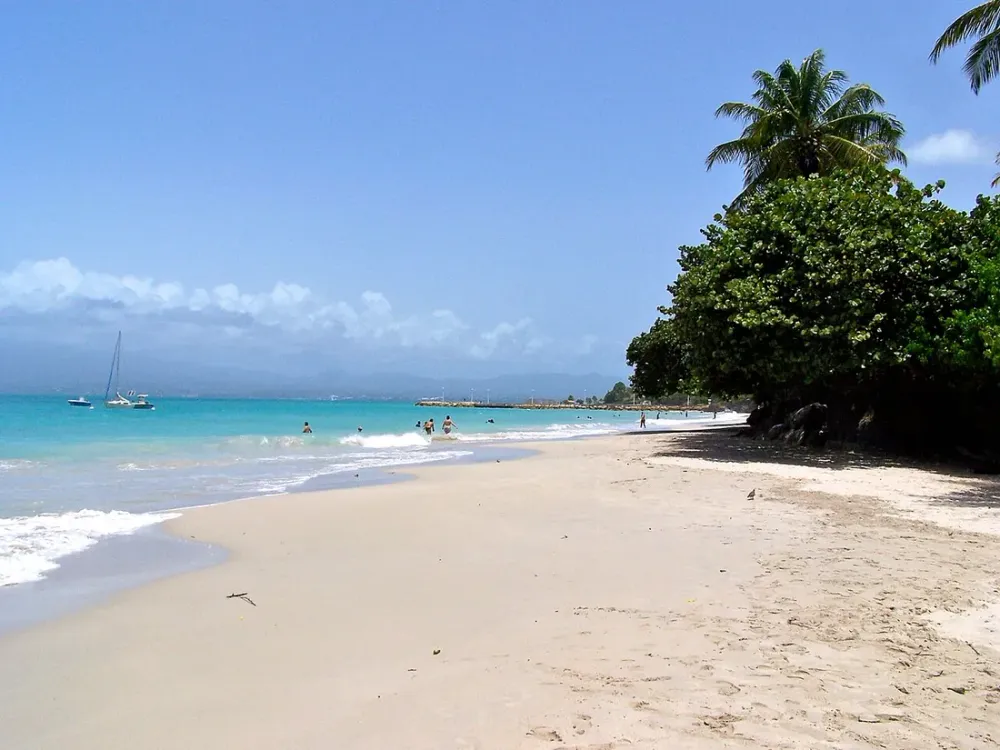 Combien coute une conciergerie en Guadeloupe ? Grille tarifaire 2026