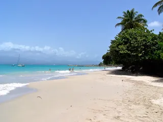 Combien coute une conciergerie en Guadeloupe ? Grille tarifaire 2026