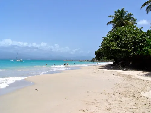 Combien coute une conciergerie en Guadeloupe ? Grille tarifaire 2026