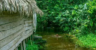 Criques en Guayana Francesa: bañarse en agua dulce con seguridad