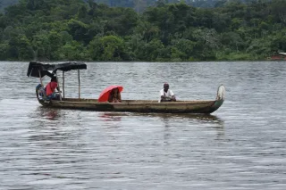 Cuisine bushinengue du Maroni : pimentade, aloko et héritage marron à Saint-Laurent