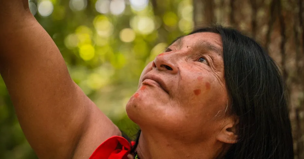 Carne de monte y cocina de selva en la Guayana Francesa: paca, agutí y la mesa del interior