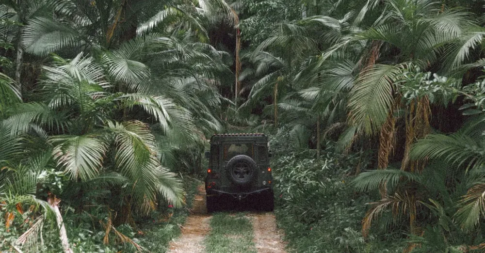 Time difference in French Guiana: planning your calls and your Cayenne arrival