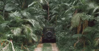 Fuso horário da Guiana Francesa: organizar as suas chamadas e a sua chegada a Caiena