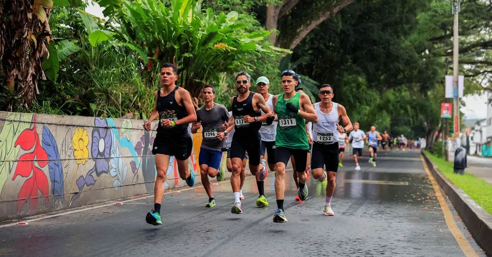 Media maratón de Cayena: el calendario de las citas deportivas de la Guayana Francesa y dónde alojarse como corredor